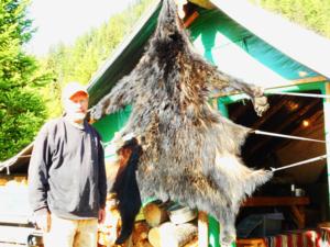 <p>Black bear</p>